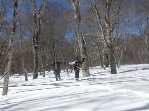 スノーウォーク