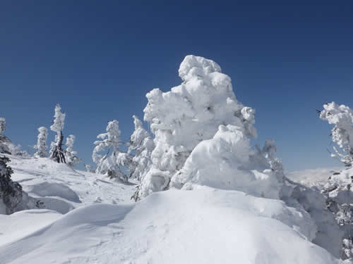 スノーモンスター