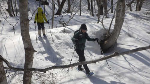 スノーシューイング